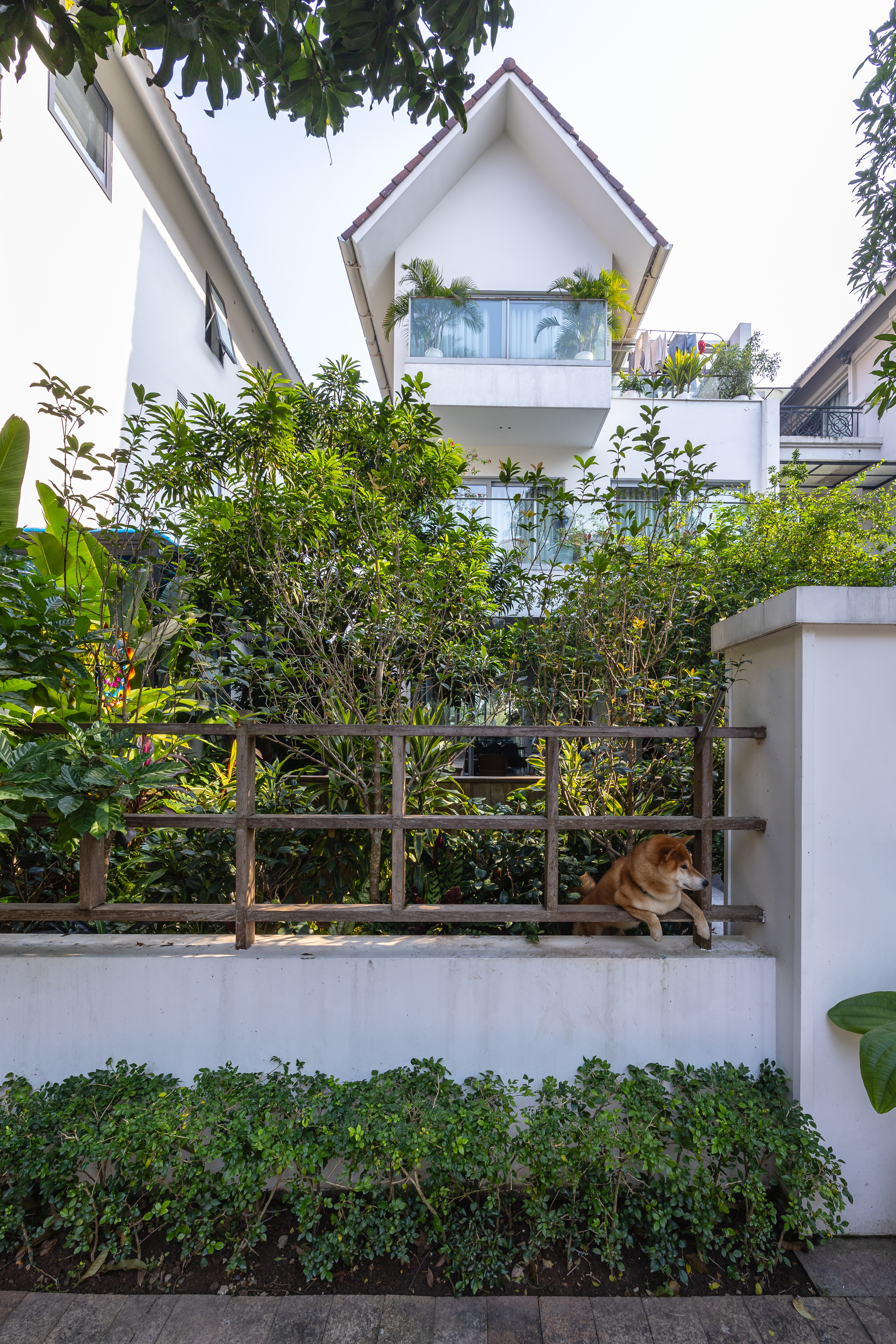 01-ENTRY-HN04_HOUSE-TNT_ARCHITECTURE