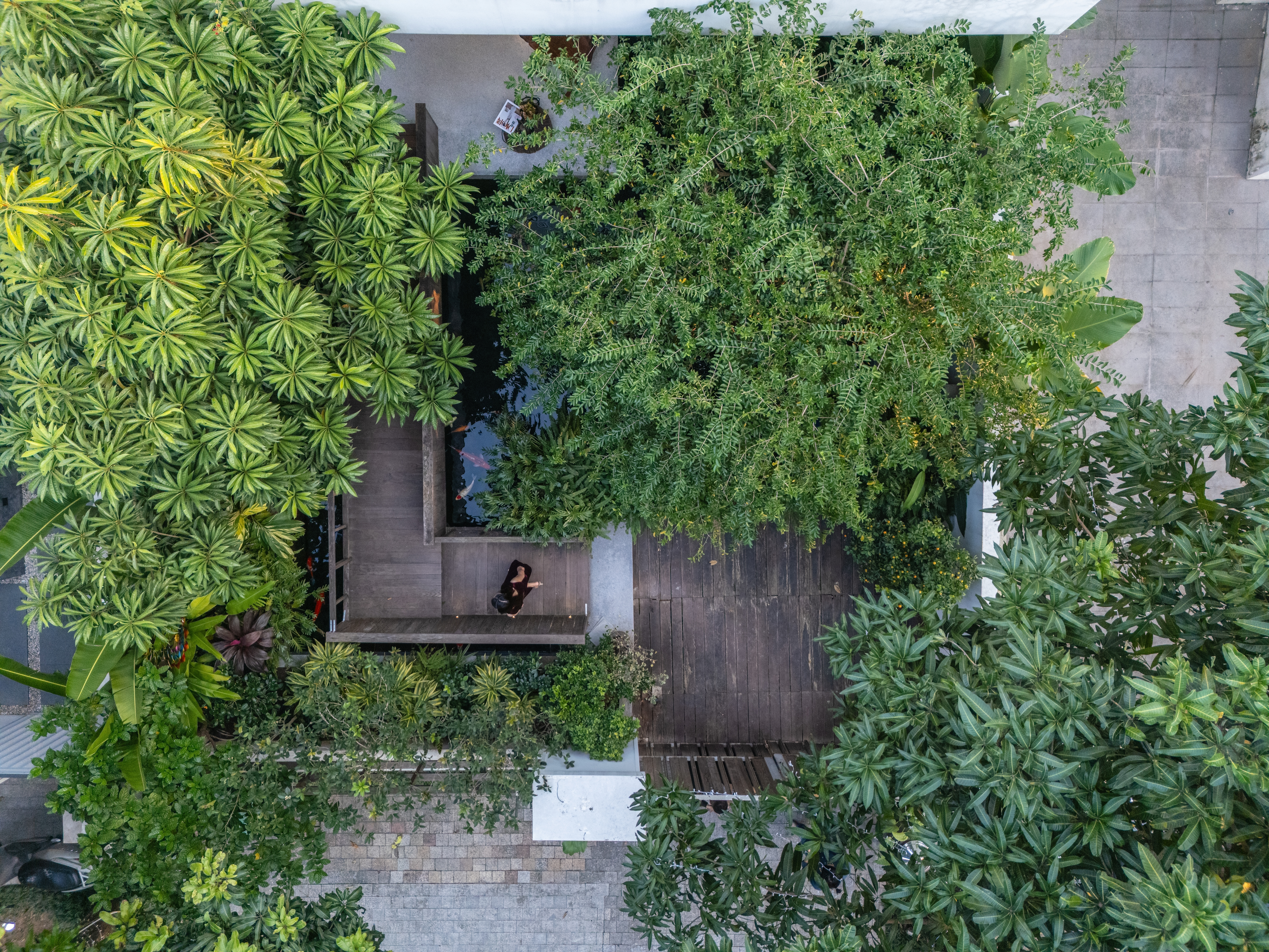 02-FRONT GARDEN-HN04_HOUSE-TNT_ARCHITECTURE