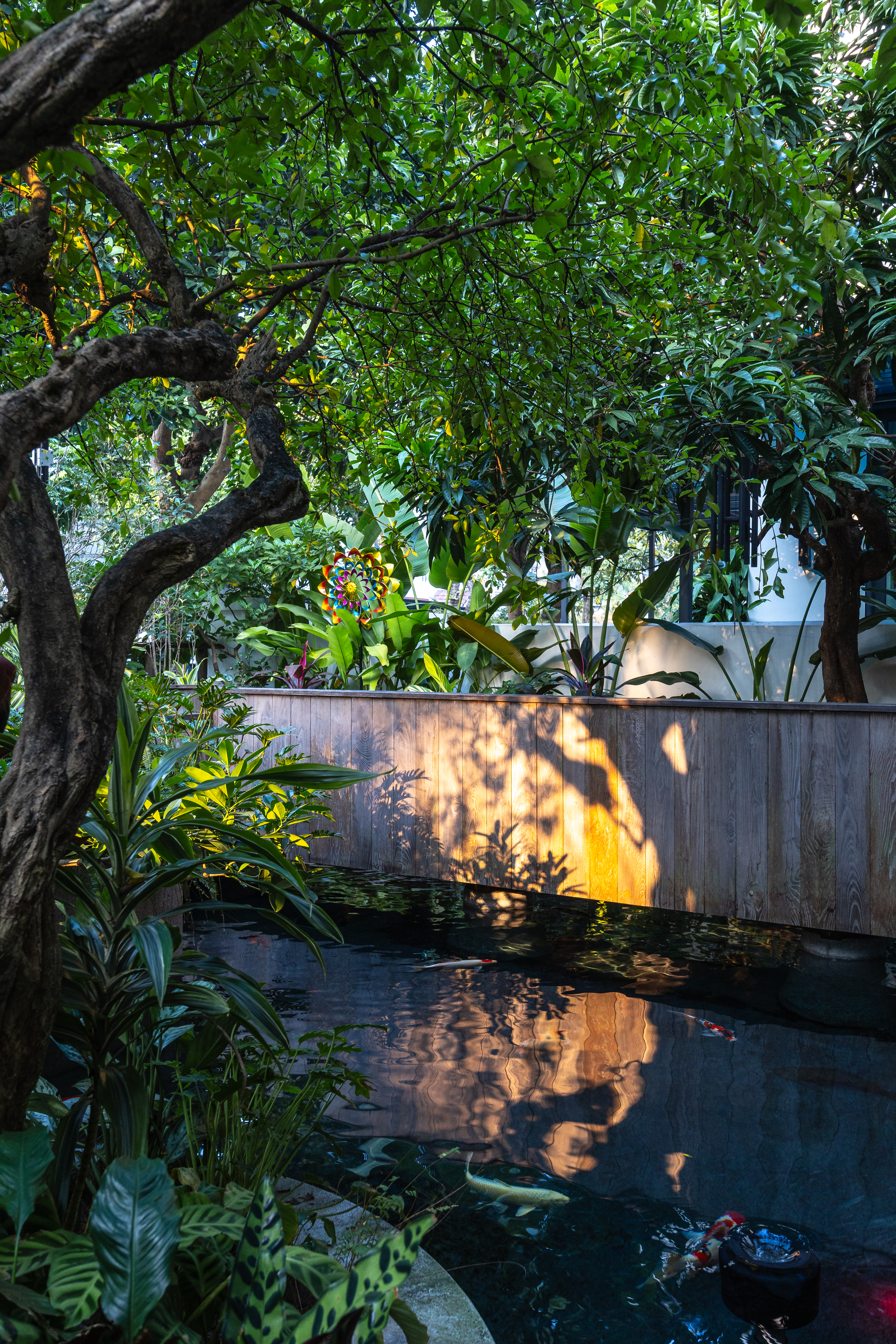 02-FRONT GARDEN-HN04_HOUSE-TNT_ARCHITECTURE